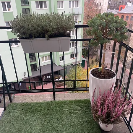 Constitution Corner Apartment